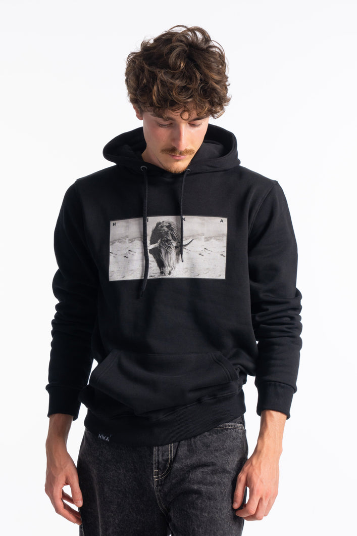 SUDADERA NORWAY